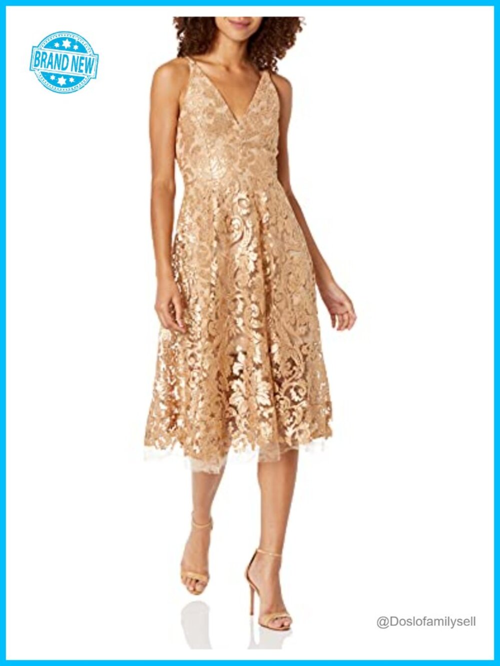 Sleeveless V-Neck Fit & Flare Midi Dress with Sequin Lace